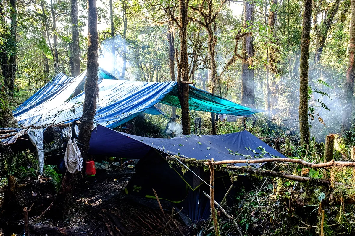 Tarpaulin shelters and tents pitched in mossy montane forest